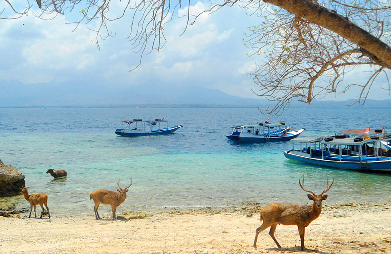 West Bali National Park Adventure