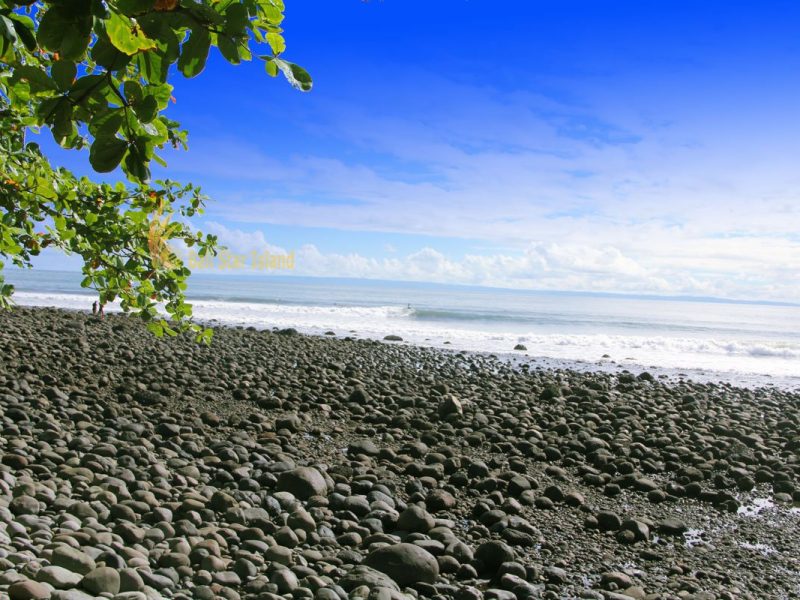 Balian Beach & Medewi Surfing Adventure